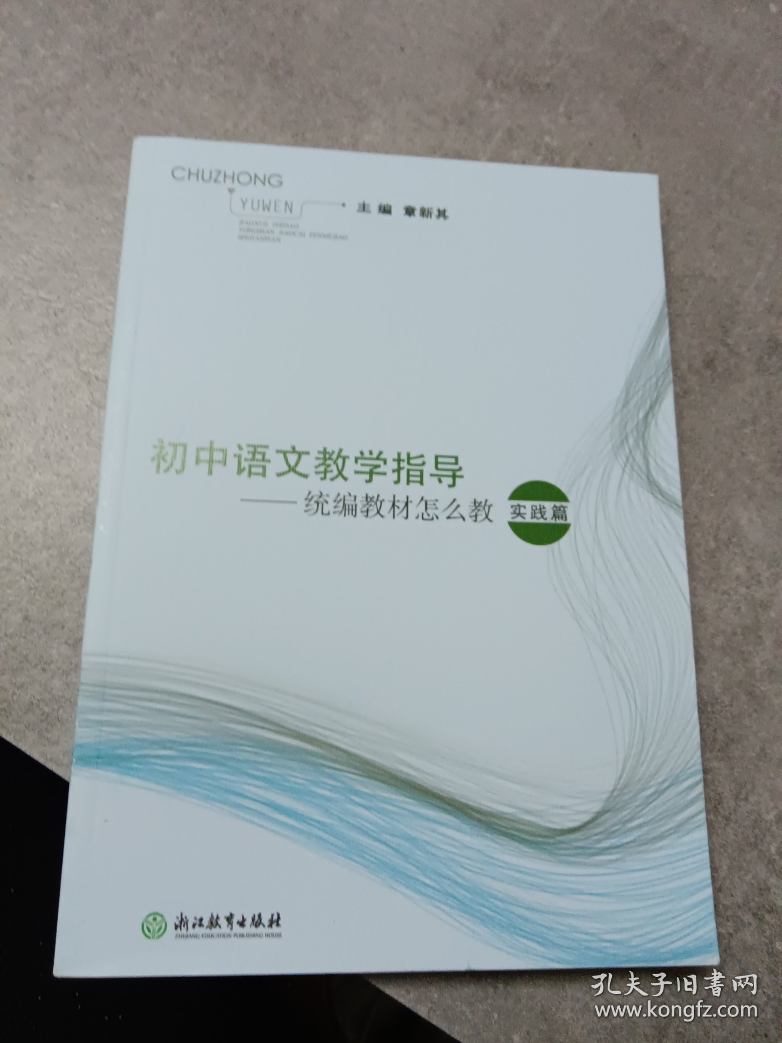 初中语文教学指导——统编教材怎么教 实践篇