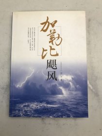 加勒比飓风