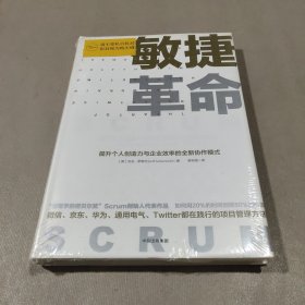 敏捷革命:提升个人创造力与企业效率的全新协作模式