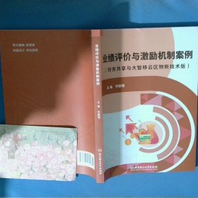业绩评价与激励机制案例