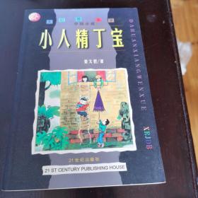 小人精丁宝：大幻想文学 : 中国小说