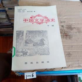 中国文学通史 上 下 册