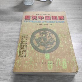 图说中国图腾：神秘文化系列丛书