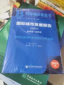 国际城市发展报告(2023年)新赛道与新纬度