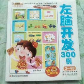 左脑开发300例，有光盘，