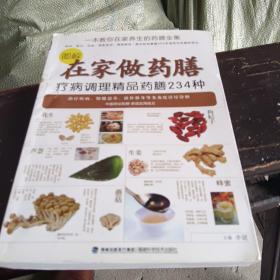 图解在家做药膳：疗病调理精品药膳234种