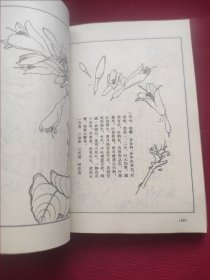 花卉画谱