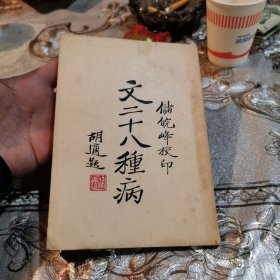文二十八种病