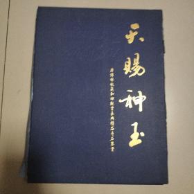 天賜神玉 唐傅林收藏和田觀賞玉典精品奇石鑒賞：天賜神玉（布面精裝）