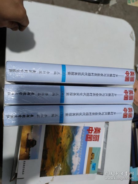 美丽中国：乡村振兴与农业农村现代化实务探索 （上中下）含一盒4片光碟，带外盒