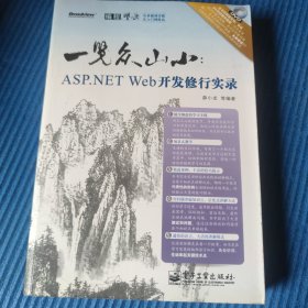 一览众山小：ASP.NET Web开发修行实录