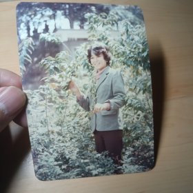 老照片–漂亮女孩站在树丛中留影（80年代）