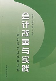 会计改革与实践:新企业会计准则讲解