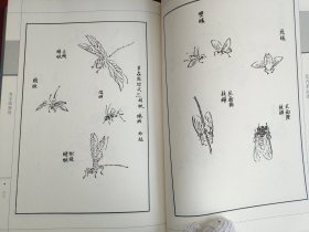 精装国学馆-芥子园画传1.2.3.4（精装16开 全四卷）