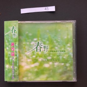 春野 空灵飘渺的音乐世界 班得瑞第3张新世纪专辑 CD