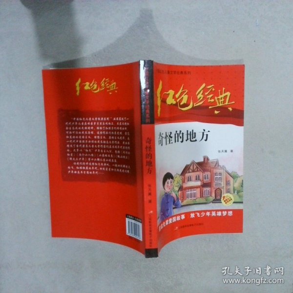 红色经典—奇怪的地方 中国红色儿童文学经典系列 小学生四五六年级课外书 少年励志红色经典书籍故事书 革命传统教育读本爱国