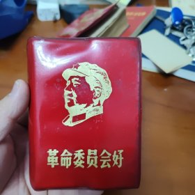 革命委员会好