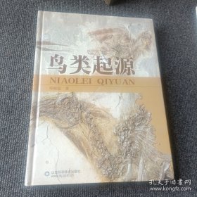 鸟类起源