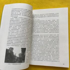 城市形态的设计、发展与演化：城市形态的双向组织研究