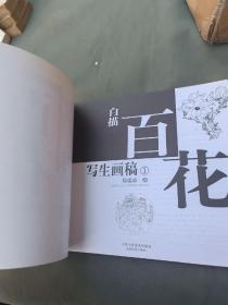 白描百花写生图稿1 2