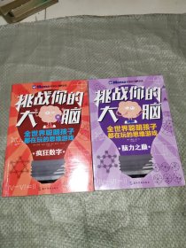 挑战你的大脑·脑力之巅，疯狂数字2本合售 正版