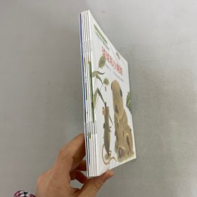 可爱的球球系列图画书（全6册）【6本合售】【全新未拆封】