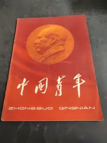 中国青年 1963年13（存放204层6楼）
