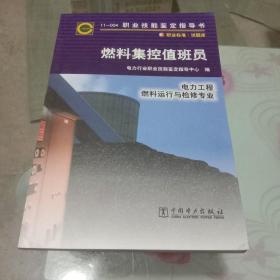 燃料集控值班员 电力工程 燃料运行与检修专业