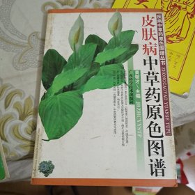 皮肤病中草药原色图谱/疾病中草药原色图谱丛书 A14