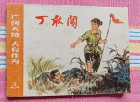 丁敢闯（广阔天地 大有作为系列）9品