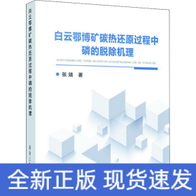 白云鄂博矿碳热还原过程中磷的脱除机理
