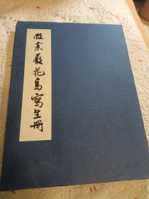 顾震岩花鸟写生册