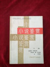 （21包） 小说鉴赏 下册    自然旧    看好图片下单     书品如图