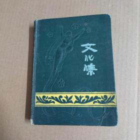 文化集-漆布精装日记；46开 -编号 4681-1957年笔记本 日记本