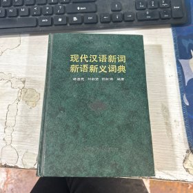 现代汉语新词 新词新义词典 诸丞亮