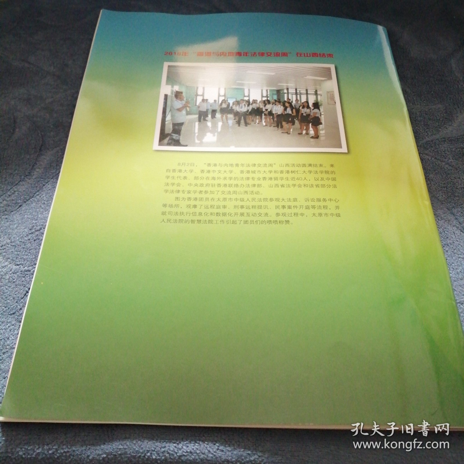 民易好运：中国法学会（2018年第4期）