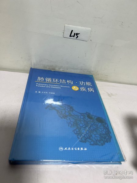 肺循环结构功能与疾病