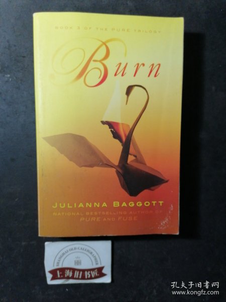 BOOK 3 OF THE PURE TRILOGY：Burn