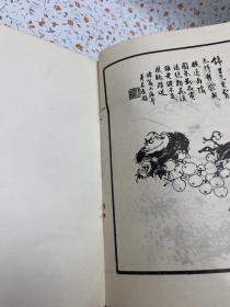 古今花鸟画范