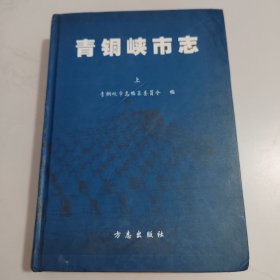 青铜峡市志 上