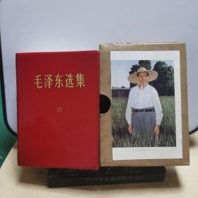 067选集：64开毛泽东选集一卷本（1968年12月四川1印，活页套封，带盒，品相好）