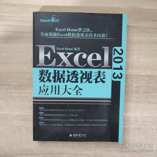 Excel 2013数据透视表应用大全