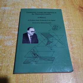 Geometries, Groups and Algebras in the Nineteenth Century，数学家I. M. 雅格龙作品，英文原版