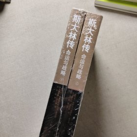 斯大林传：命运与战略