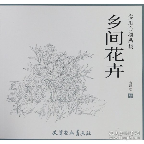 乡间花卉/实用白描画稿