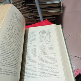 全国中草药汇编 上册