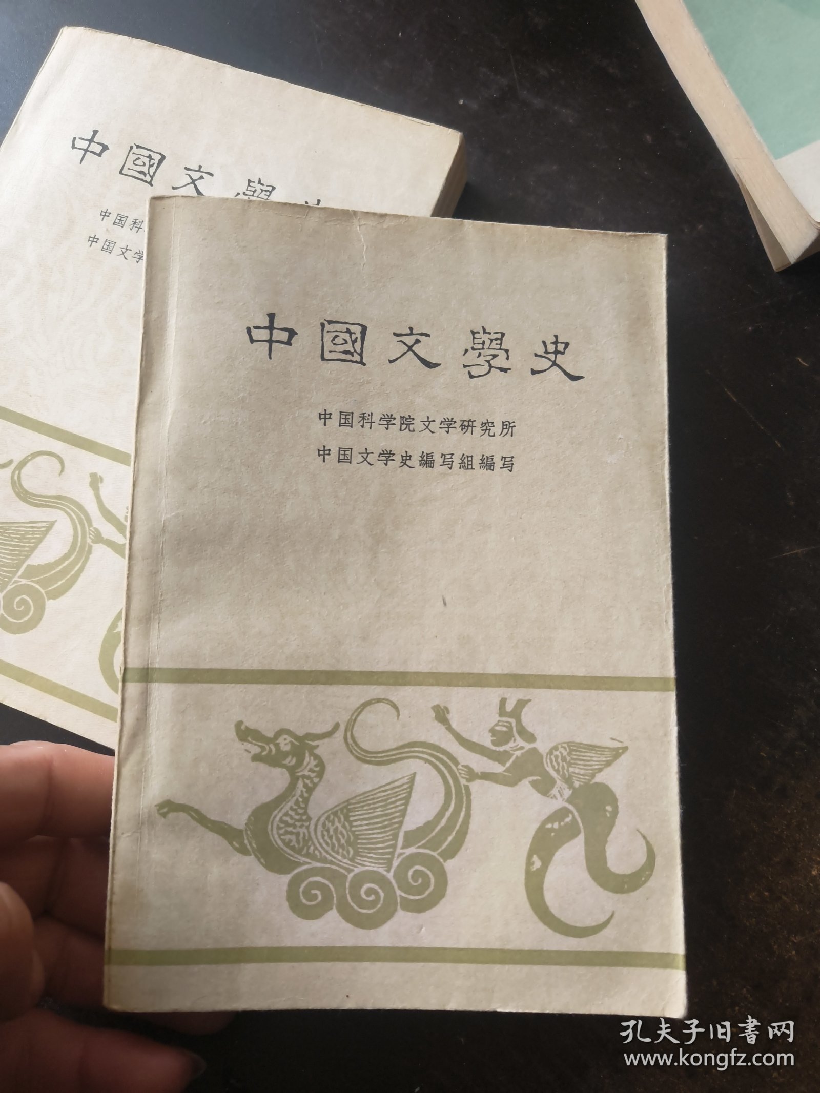 中国文学史（二 三册）