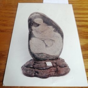 奇石收藏家张晓亮签名照片
