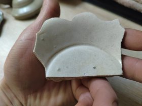宋 定窑花口盏瓷片标本
