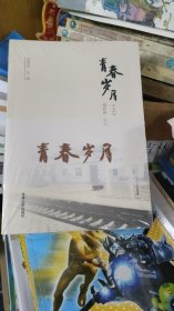青春岁月 洮河战校回忆录 上下（未拆封）